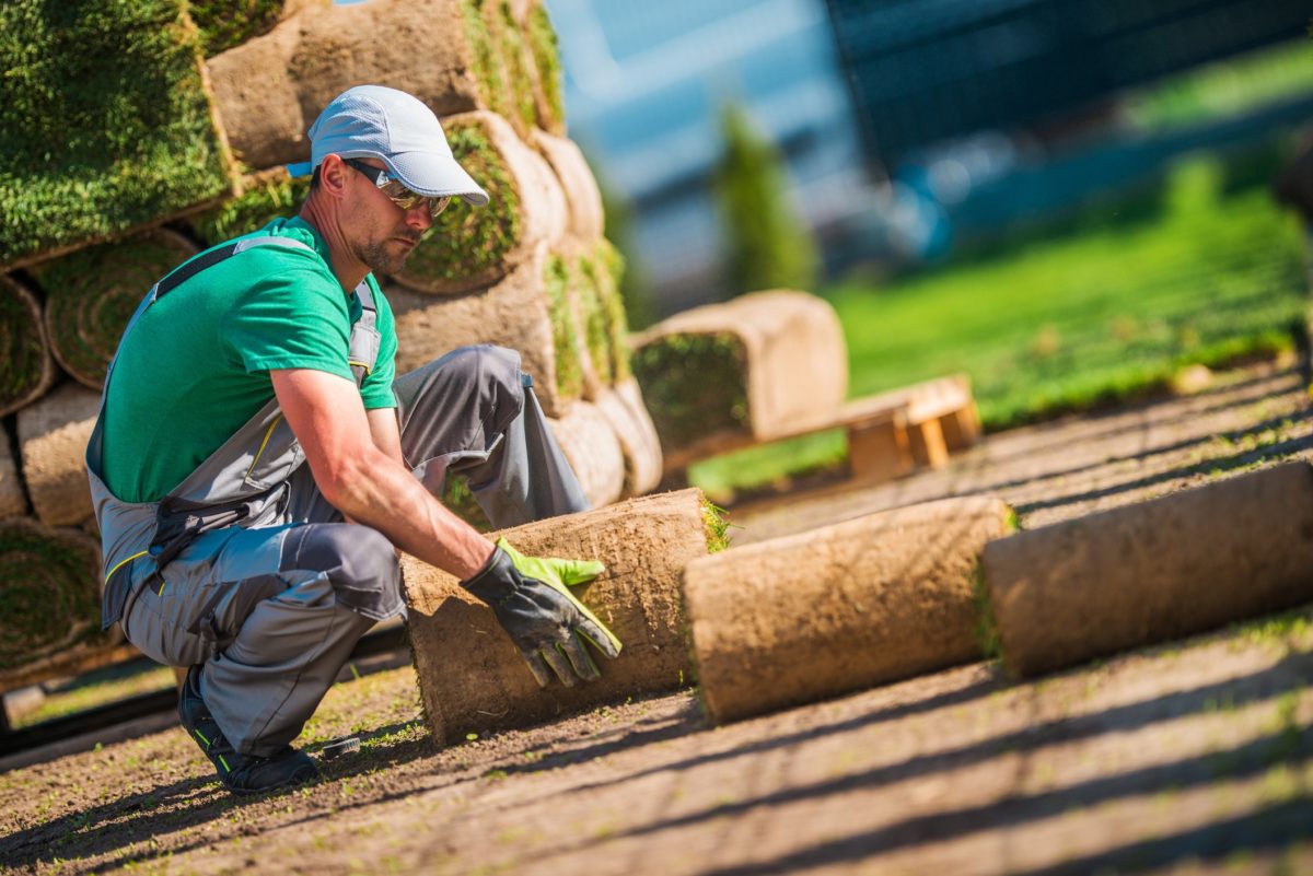 Caucasian landscaper in blue overalls, green shirt and blue hat laying sod on a commercial project
